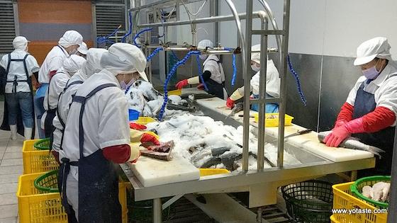 眼鏡伯於無塵室製造的野生烏魚子
